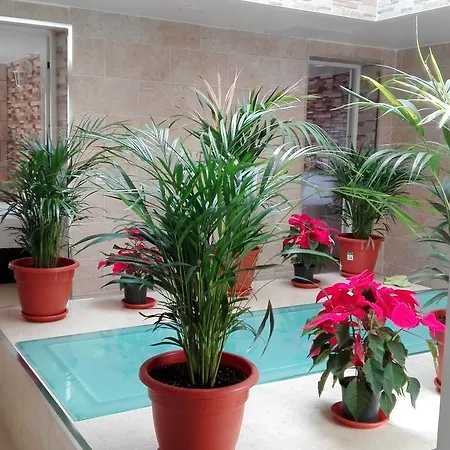 Poseidon - Hm Guest house El Tablero (Las Palmas)