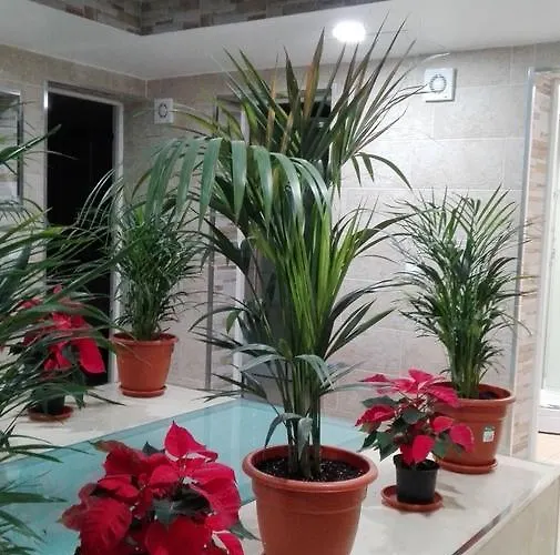 Poseidon - Hm Penzion El Tablero (Las Palmas)